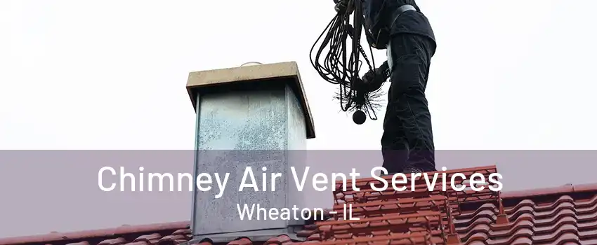 Chimney Air Vent Services Wheaton - IL