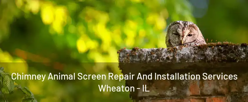 Chimney Animal Screen Repair And Installation Services Wheaton - IL