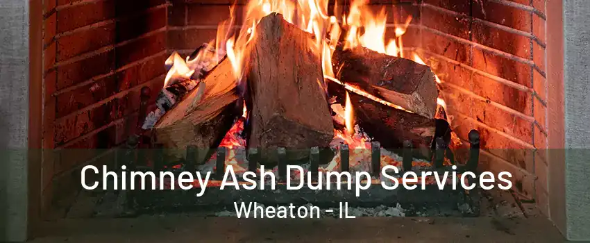 Chimney Ash Dump Services Wheaton - IL
