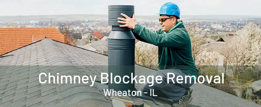 Chimney Blockage Removal Wheaton - IL