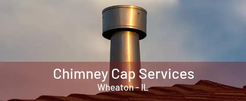 Chimney Cap Services Wheaton - IL
