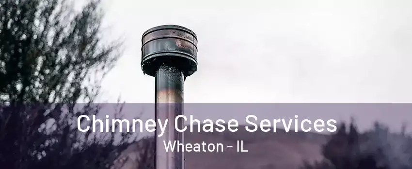 Chimney Chase Services Wheaton - IL