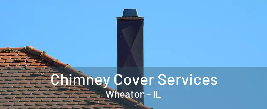 Chimney Cover Services Wheaton - IL