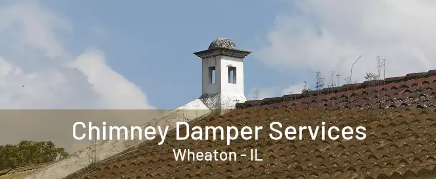 Chimney Damper Services Wheaton - IL