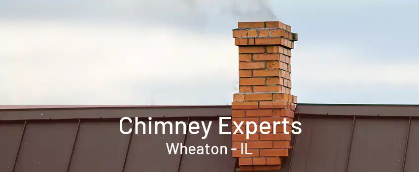 Chimney Experts Wheaton - IL