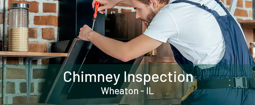 Chimney Inspection Wheaton - IL