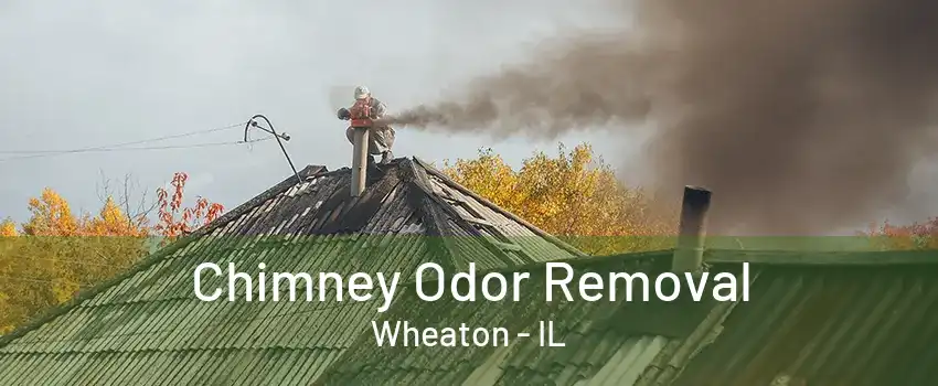 Chimney Odor Removal Wheaton - IL