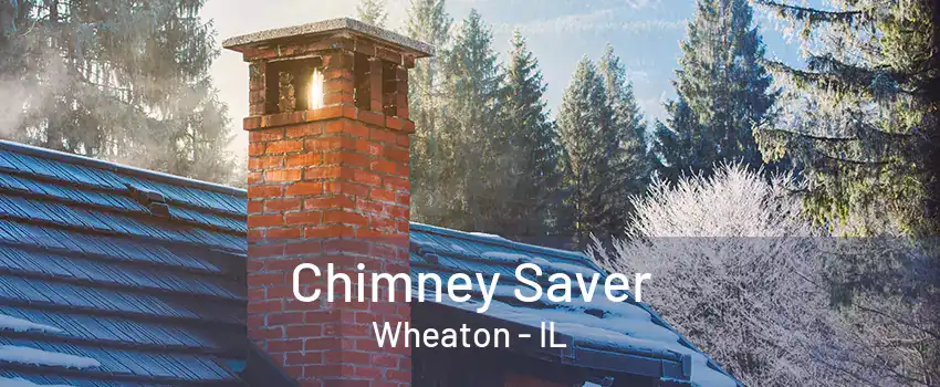 Chimney Saver Wheaton - IL