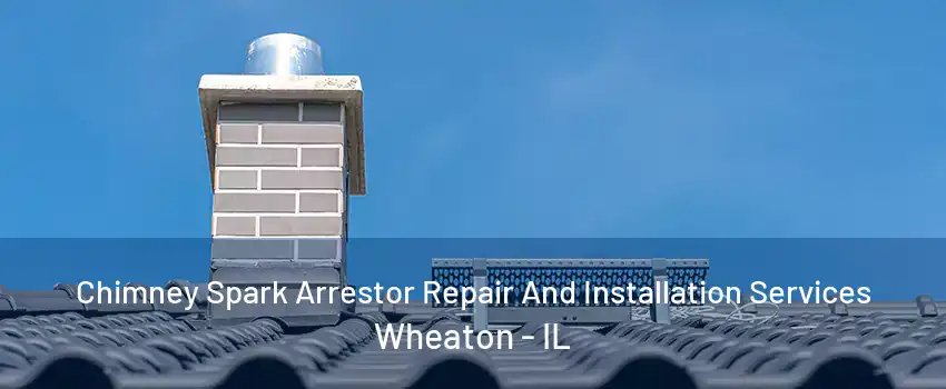 Chimney Spark Arrestor Repair And Installation Services Wheaton - IL