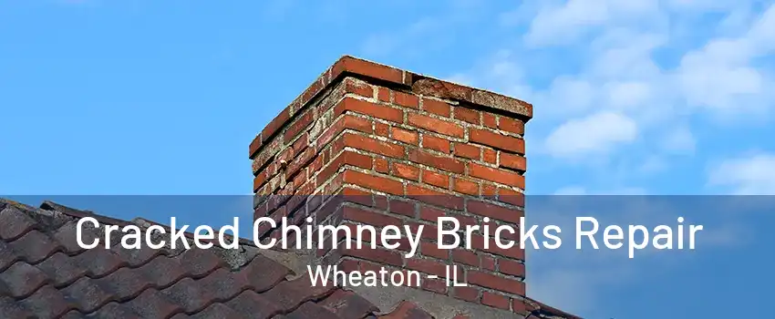 Cracked Chimney Bricks Repair Wheaton - IL