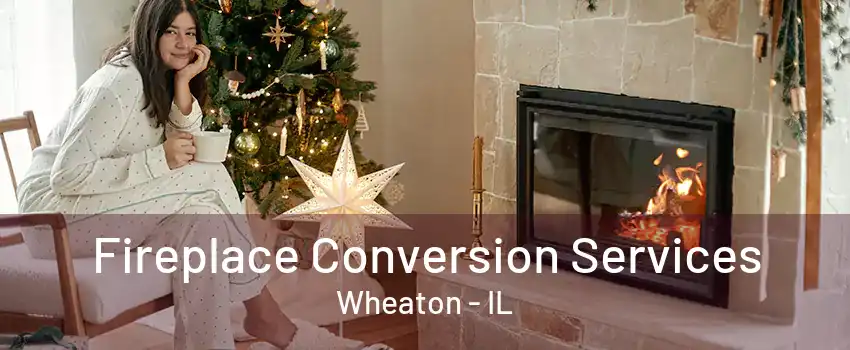 Fireplace Conversion Services Wheaton - IL