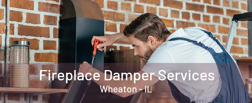 Fireplace Damper Services Wheaton - IL