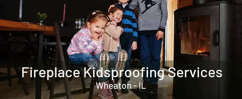 Fireplace Kidsproofing Services Wheaton - IL