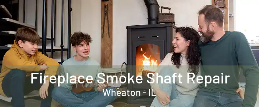 Fireplace Smoke Shaft Repair Wheaton - IL