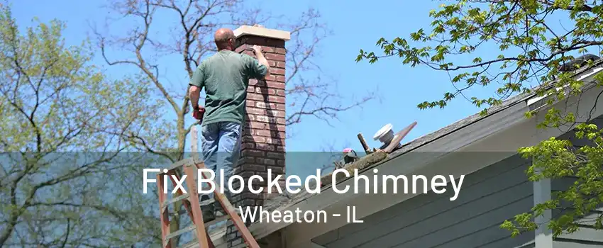 Fix Blocked Chimney Wheaton - IL