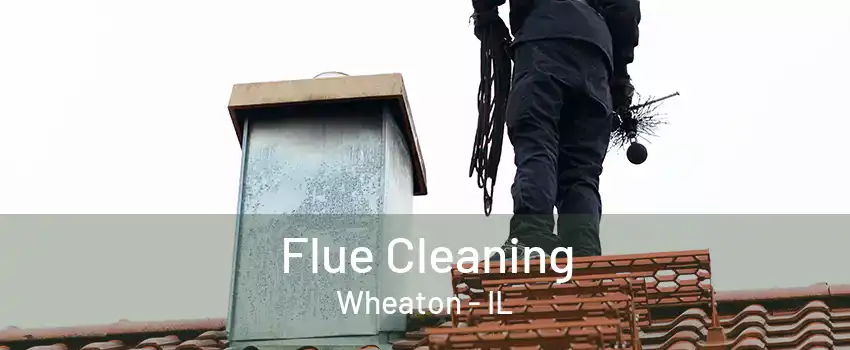 Flue Cleaning Wheaton - IL