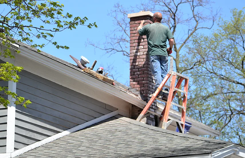 Chimney & Fireplace Inspections Services in Wheaton