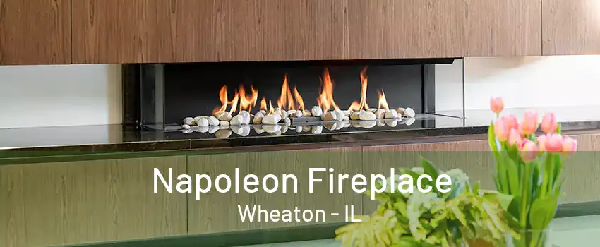 Napoleon Fireplace Wheaton - IL