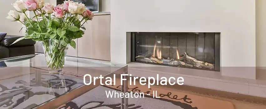 Ortal Fireplace Wheaton - IL